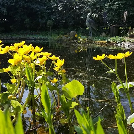 De Slaperije